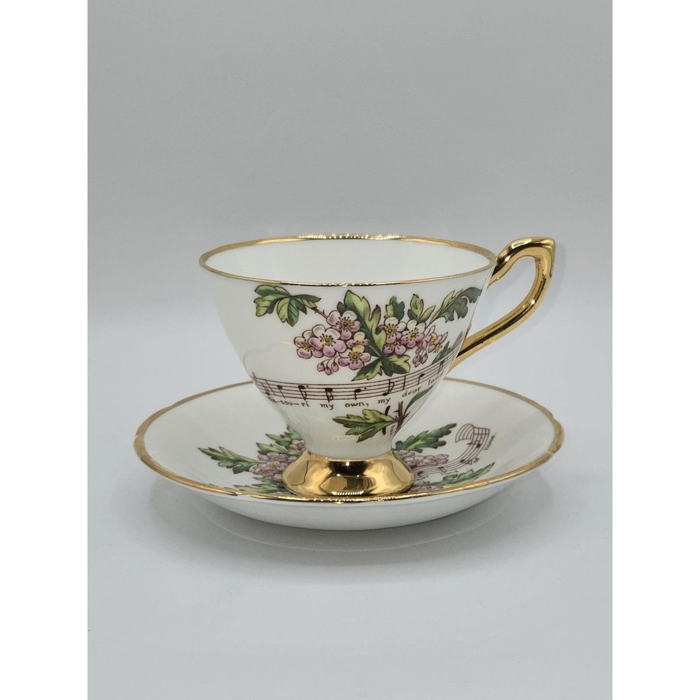 Royal Ardalt Hawthorn Missouri Teacup and Saucer Bone China State Flower England